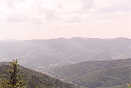 Near the Grand Ballon, France, 13 june 2001